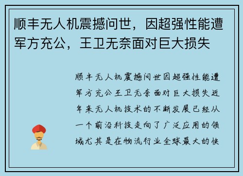 顺丰无人机震撼问世，因超强性能遭军方充公，王卫无奈面对巨大损失