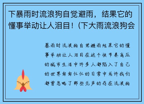 下暴雨时流浪狗自觉避雨,结果它的懂事举动让人泪目!(下大雨流浪狗会在哪躲雨) 下暴雨时流浪狗自觉避雨,结果它的懂事举动让人泪目!(下大雨流浪狗会在哪躲雨)