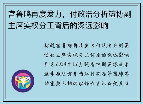 宫鲁鸣再度发力，付政浩分析篮协副主席实权分工背后的深远影响